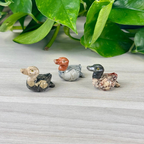 Mini Soapstone Animal Carvings Duck 7 - Kenna's Crystals from TikTok