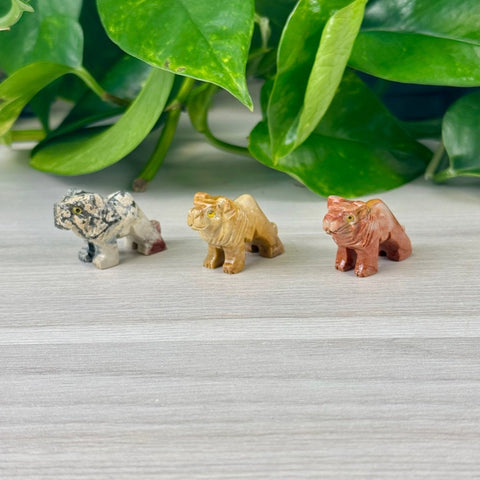 Mini Soapstone Animal Carvings Lion 16 - Kenna's Crystals from TikTok