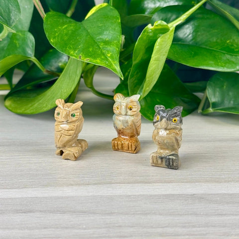 Mini Soapstone Animal Carvings Owl 22 - Kenna's Crystals from TikTok