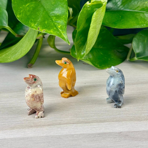 Mini Soapstone Animal Carvings Penguin 11 - Kenna's Crystals from TikTok