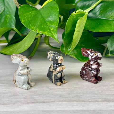 Mini Soapstone Animal Carvings Rabbit 12 - Kenna's Crystals from TikTok