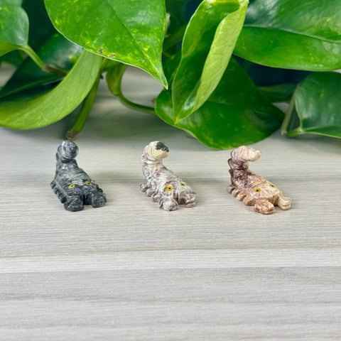 Mini Soapstone Animal Carvings Scorpion 18 - Kenna's Crystals from TikTok