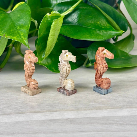 Mini Soapstone Animal Carvings Seahorse 19 - Kenna's Crystals from TikTok