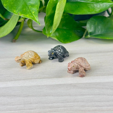Mini Soapstone Animal Carvings Turtle 10 - Kenna's Crystals from TikTok