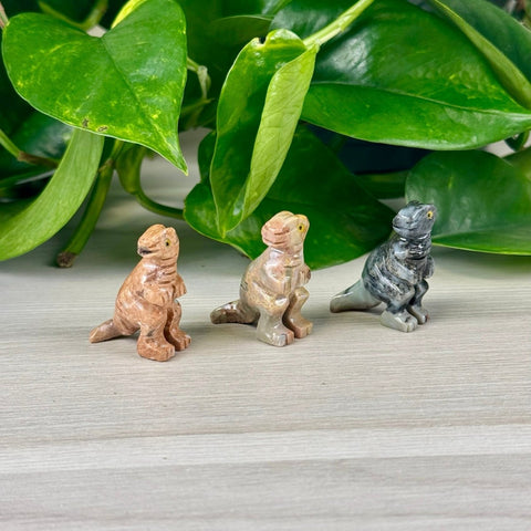 Mini Soapstone Animal Carvings Tyrannosaurus Rex 26 - Kenna's Crystals from TikTok