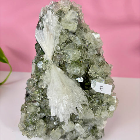 Minty Green Apophyllite with Scolecite