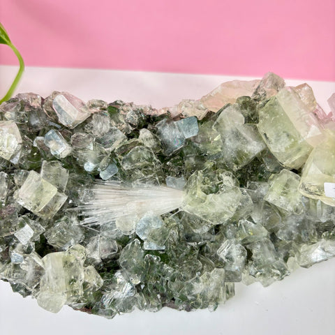 Minty Green Apophyllite with Scolecite