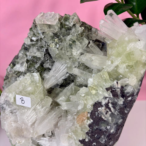 Minty Green Apophyllite with Scolecite