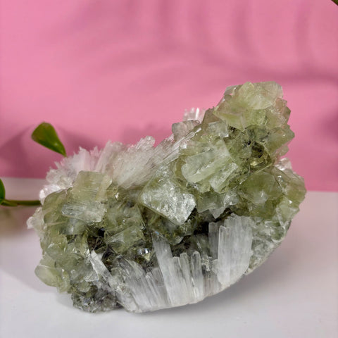 Minty Green Apophyllite with Scolecite