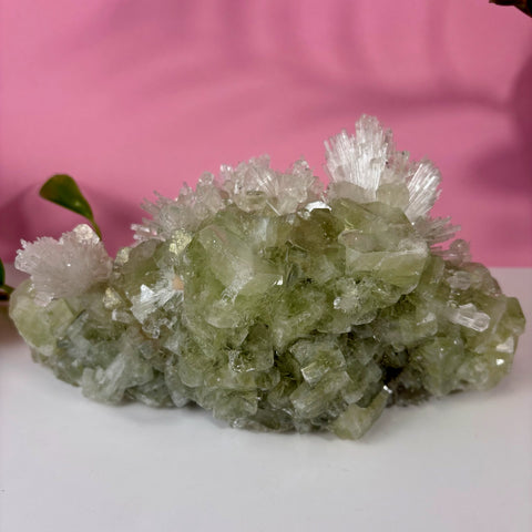 Minty Green Apophyllite with Scolecite