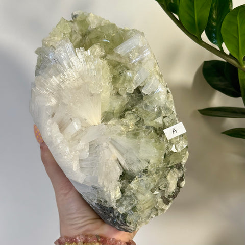 Large minty green apophyllite and white scolecite crystal cluster held in hand.