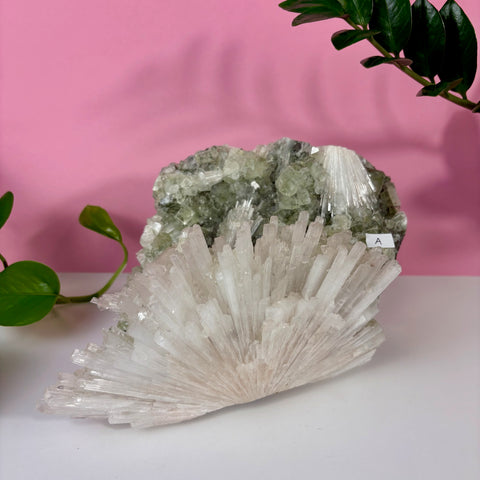 Minty Green Apophyllite with Scolecite