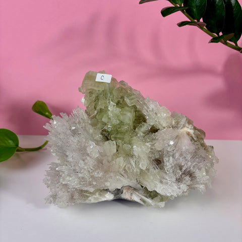 Minty Green Apophyllite with Scolecite