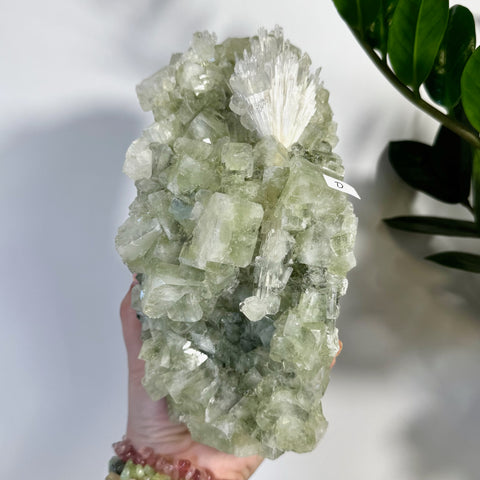 Minty green apophyllite with white scolecite crystal cluster, held in hand.