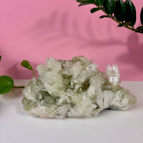Minty Green Apophyllite with Scolecite
