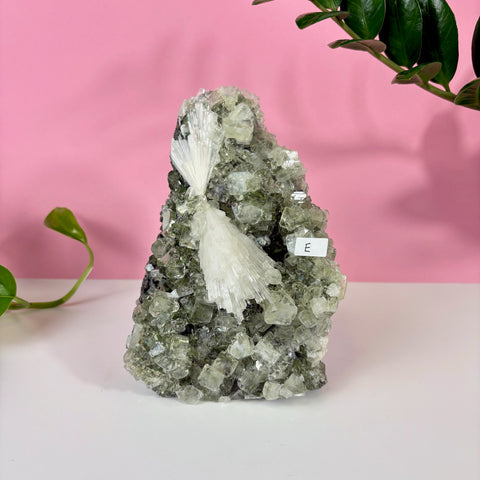 Minty Green Apophyllite with Scolecite