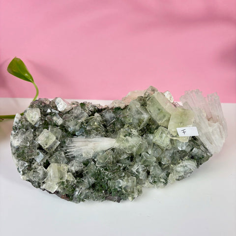Minty Green Apophyllite with Scolecite