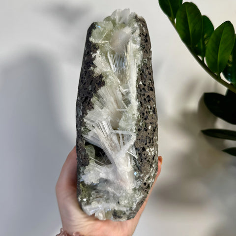 Hand holding a large, rough dark stone geode with sparkling minty green apophyllite and white scolecite crystals.