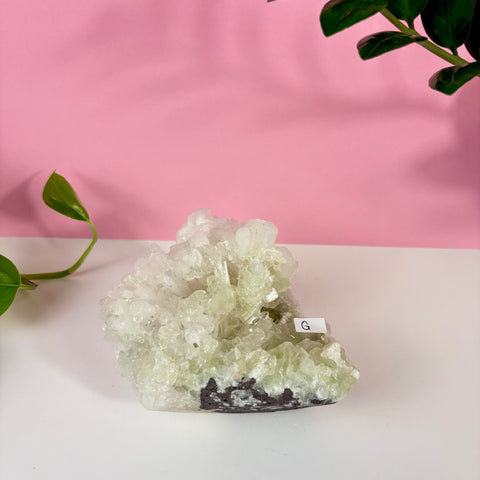Minty Green Apophyllite with Scolecite
