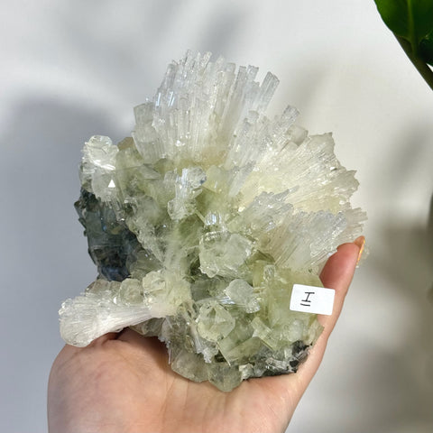 Hand holding a large, sparkling minty green apophyllite and scolecite crystal cluster.