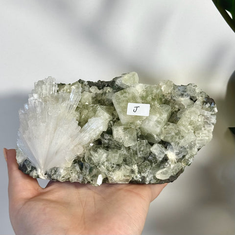 Minty green apophyllite with white scolecite crystal cluster, held in hand.