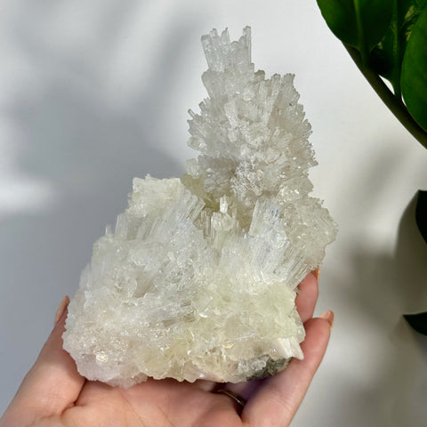 Hand holding a large, sparkling white apophyllite and scolecite crystal cluster.