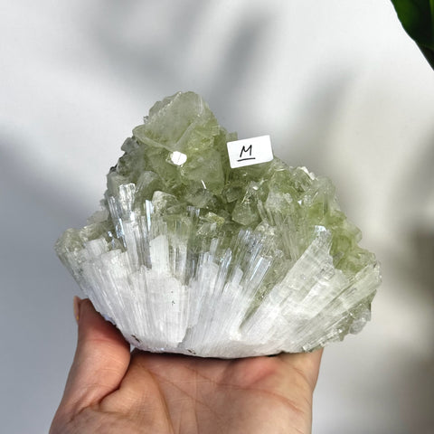 Hand holding a large, sparkling minty green apophyllite and white scolecite crystal cluster.