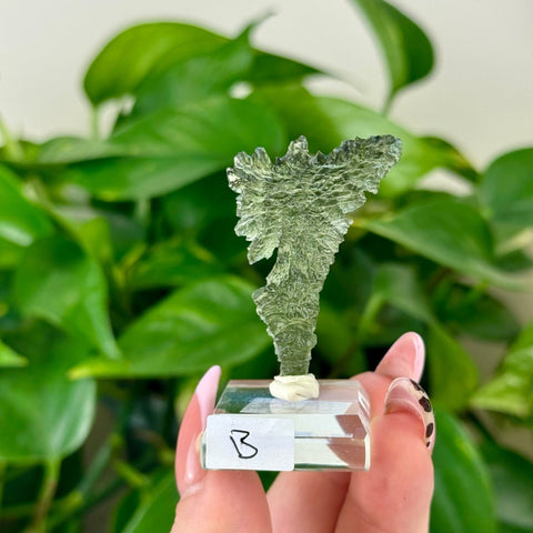 Moldavite Hedgehog B 2 - Kenna's Crystals from TikTok