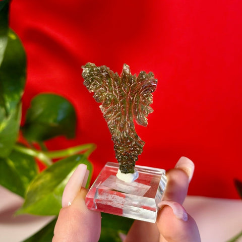 Moldavite Hedgehog B 7 - Kenna's Crystals from TikTok