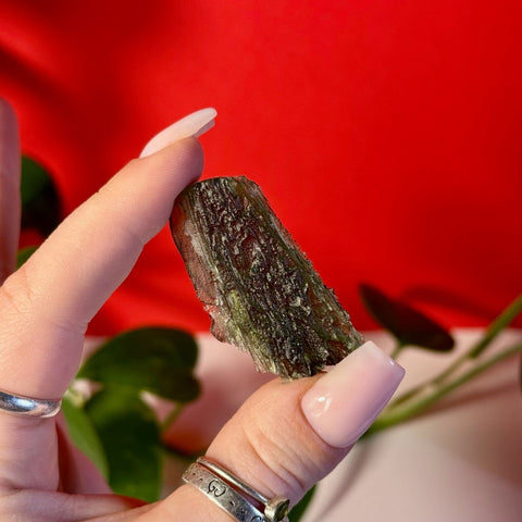 Moldavite Specimen E 5 - Kenna's Crystals from TikTok