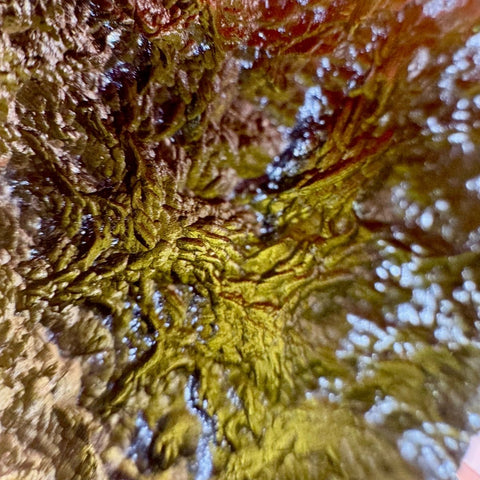 Moldavite Specimen F 25 - Kenna's Crystals from TikTok