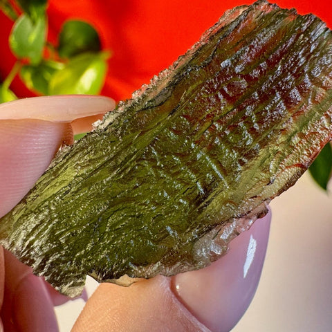 Moldavite Specimen F 34 - Kenna's Crystals from TikTok