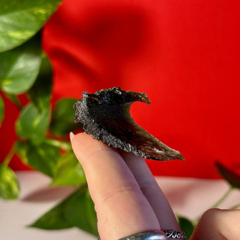 Moldavite Specimen F 11 - Kenna's Crystals from TikTok