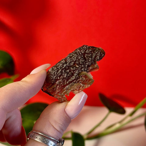 Moldavite Specimen F 6 - Kenna's Crystals from TikTok