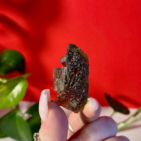 Moldavite Specimen F 38 - Kenna's Crystals from TikTok