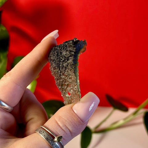 Moldavite Specimen F 10 - Kenna's Crystals from TikTok
