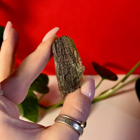 Moldavite Specimen F 30 - Kenna's Crystals from TikTok