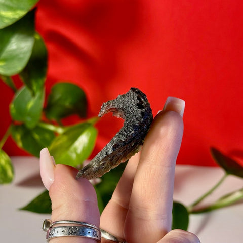 Moldavite Specimen F 12 - Kenna's Crystals from TikTok