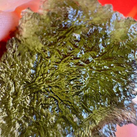 Moldavite Specimen F 19 - Kenna's Crystals from TikTok