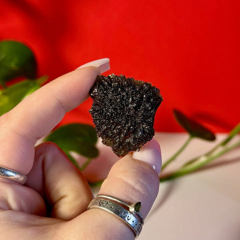 Moldavite Specimen F 22 - Kenna's Crystals from TikTok