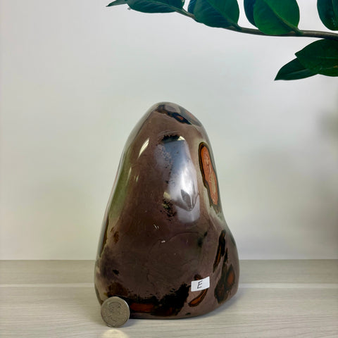 Moody Polychrome Jasper Free Form