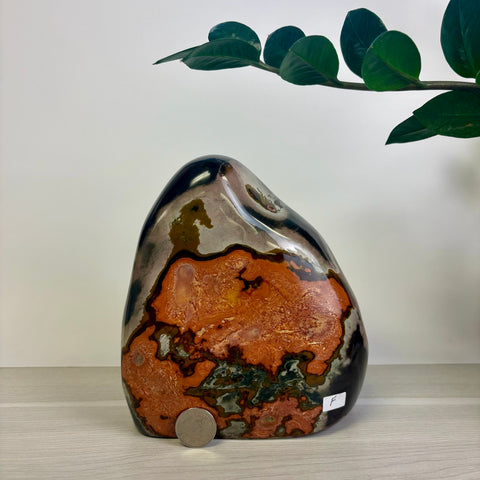 Moody Polychrome Jasper Free Form