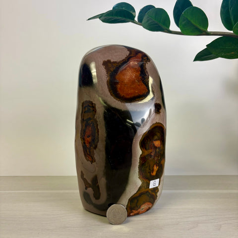 Moody Polychrome Jasper Free Form
