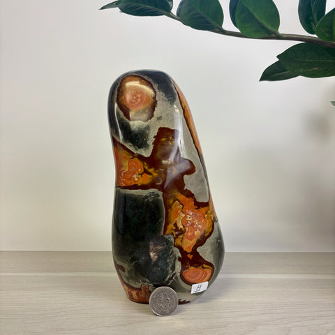Moody Polychrome Jasper Free Form