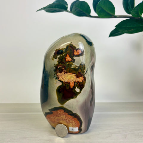 Moody Polychrome Jasper Free Form