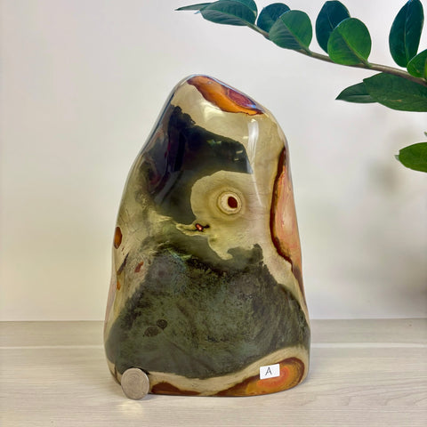 Moody Polychrome Jasper Free Form