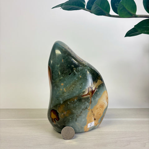 Moody Polychrome Jasper Free Form