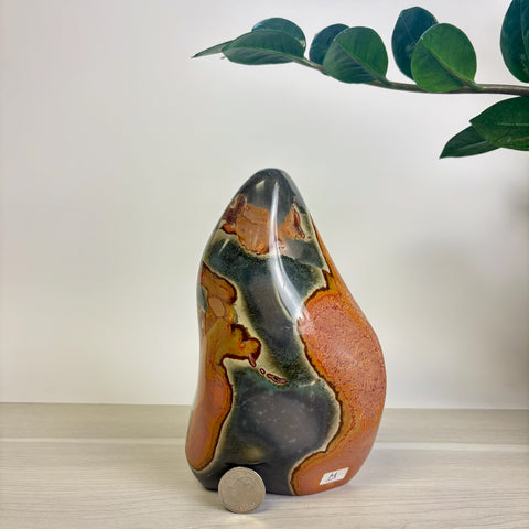 Moody Polychrome Jasper Free Form