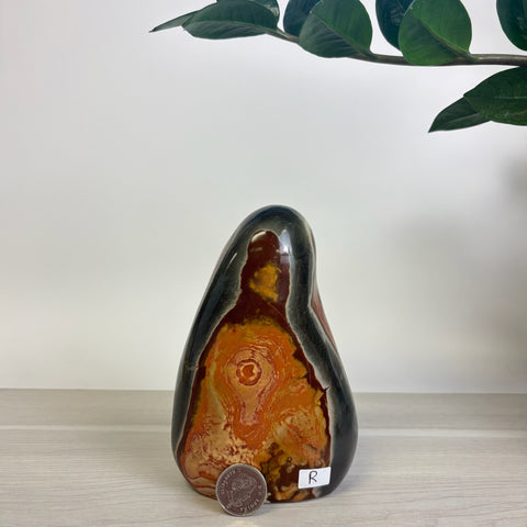 Moody Polychrome Jasper Free Form
