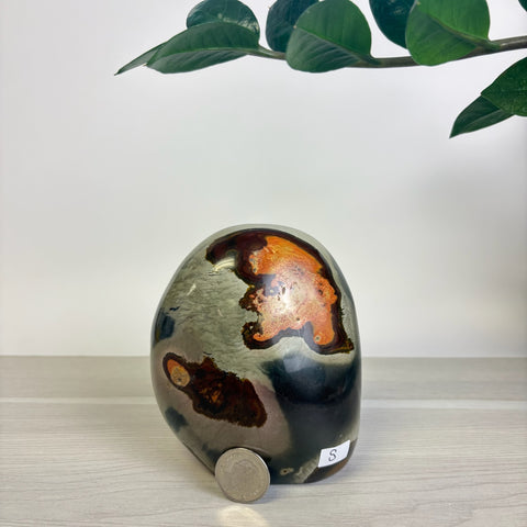 Moody Polychrome Jasper Free Form